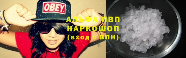 стаф Володарск
