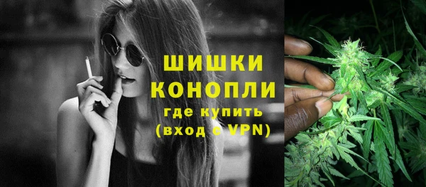 стаф Володарск
