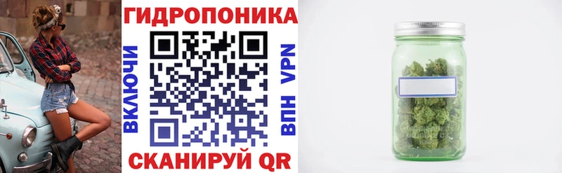 Купить закладки  Котельниково  Канабис AK-47 